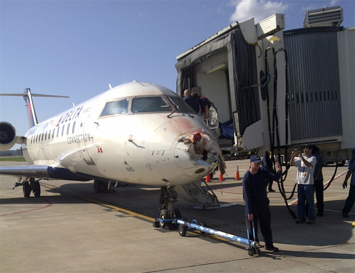Bombardier CRJ200ER Bird Strike